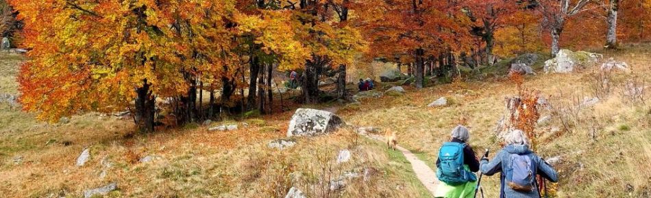 2025.10.19.gaschney.jpg