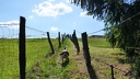 2012.05.13.celles.0005