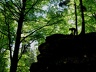 2012.05.13.celles.0038