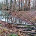 2025.01.05.larobertsau.0007