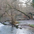 2025.01.05.larobertsau.0014