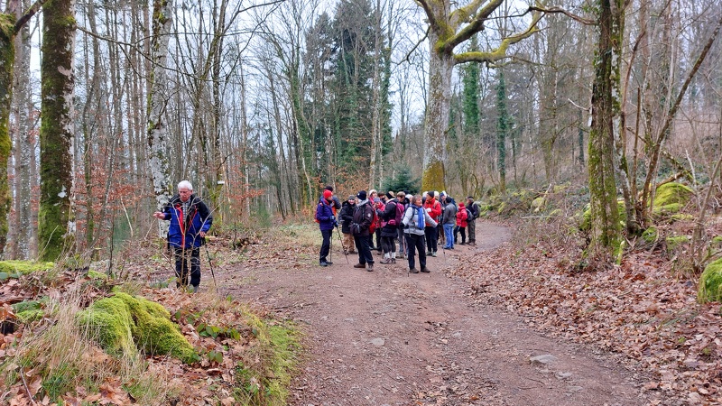 2025.02.02.ste_odile.0011.jpg