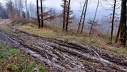 2025.02.02.ste odile.0060