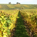 2008.10.12.vin_nouveau.0021.JPG