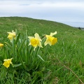 2012.05.27.chasseral1.0032