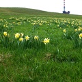 2012.05.27.chasseral1.0034