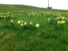 2012.05.27.chasseral1.0034